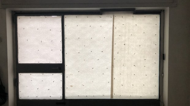 E0EDF348-0558-41A7-83F5-B42703EAE412